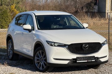 2.0benzyna*2019*następny serwis 04.2026*full opcja*drugie koła na zimę